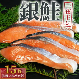 【ふるさと納税】 銀鮭 一夜干し 15枚 （5パック×3枚）干物 ひもの さけ 鮭 魚 海鮮 おかず 酒 のあて おつまみ 弁当 塩 魚介 惣菜 食品 冷凍食品 グルメ 贈答 贈り物 プレゼント ギフト お取り寄せ ふるさと納税 送料無料 千葉県 銚子市 10000円 株式会社甲印小西商店