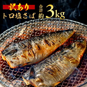 yӂ邳Ɣ[Łz 󂠂 g   3kg I  Ⓚ Hi  e lC   L CN ٓ y  v[g Mtg  O  s KiO ӂ邳