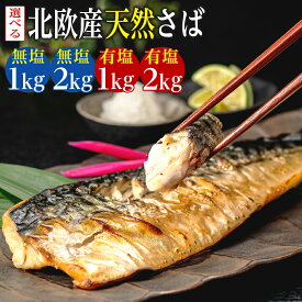 【ふるさと納税】 訳あり 骨取り 無塩さば 有塩さば 約1kg・約2kg 鯖 さば 無塩 有塩 骨なし 骨抜き 切身 切り身 冷凍 食品 小分け 大容量 人気 魚 魚介 魚貝 海鮮 お取り寄せ 送料無料 不揃い 規格外 ふるさと納税 ふるさと納税鯖 千葉県 銚子市 飯田商店 iidachoshi