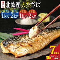 訳アリ 訳有り 青魚 フィレ フィーレ 冷凍 味噌焼 船場汁 南蛮漬け 竜...