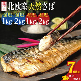 【ふるさと納税】 ＼ スピード発送 ／ 訳あり 骨取り 無塩さば 有塩さば 約1kg・約2kg 楽天限定 期間限定 鯖 さば 無塩 有塩 骨なし 骨抜き 切身 切り身 大容量 人気 魚 魚介 魚貝 海鮮 お取り寄せ 送料無料 ふるさと納税 ふるさと納税鯖 千葉県 銚子市 飯田商店 iidachoshi