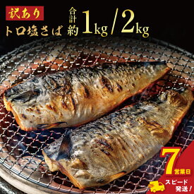 【ふるさと納税】 ＼ スピード発送 ／ 訳あり トロ 塩さば 【選べる容量】約 1kg・約 2kg 鯖 さば 冷凍 大容量 人気 魚 魚介 魚貝 海鮮 贈答 プレゼント ギフト お取り寄せ グルメ 送料無料 不揃い 規格外 ふるさと納税 ふるさと納税鯖 千葉県 銚子市 飯田商店 iidachoshi