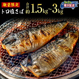 【ふるさと納税】 訳あり トロ 塩さば 【選べる容量】約1.5kg・約3kg 鯖 さば 冷凍 食品 小分け 大容量 人気 魚 魚介 魚貝 海鮮 おかず 贈答 プレゼント ギフト お取り寄せ グルメ 送料無料 不揃い 規格外 ふるさと納税 ふるさと納税鯖 千葉県 銚子市 飯田商店 iidachoshi