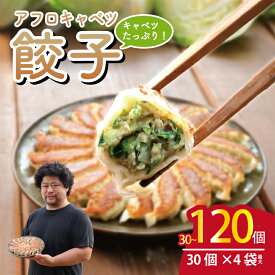 【ふるさと納税】 訳あり アフロキャベツ 餃子 30個～120個 ギョーザ ぎょうざ 冷凍餃子 きゃべつ 日本一 肉 汁 豚肉 国産 食品 小分け 大容量 キャンプ 野菜 贈答 プレゼント お取り寄せ ふるさと納税 ふるさと納税餃子 冷凍 送料無料 千葉県 銚子市 くるくるやっほー