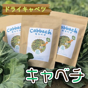 yӂ邳Ɣ[Łz ys\z hCLxc Lx` 3܁i2026N1`zjLxc AtLxc 󂠂 ܂ َq   qY tY tLxc Y {̖ 