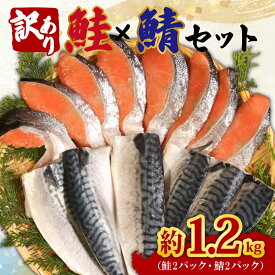 【ふるさと納税】 訳あり 鮭 鯖 セット 約 1.2kg 銀鮭 切り身 さば フィレ フィーレ さけ しゃけ 鮭 サーモン 塩鮭 塩鯖 切身 魚 魚介 規格外 つまみ 弁当 少量 家庭用 冷凍 グルメ 贈答 贈り物 プレゼント ギフト 長期保存 小分け お取り寄せ 送料無料 千葉県 銚子市 辻野