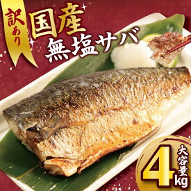 【ふるさと納税】訳あり 国産 無塩さば 約 4kg 鯖 さば 無塩鯖 国産さば 国産鯖 小分け 大容量 人気 魚 魚介 魚貝 海鮮 惣菜 おかず つまみ 贈答 ギフト お取り寄せ おすすめ フィーレ フィレ 切身 切り身 不揃い 規格外 ふるさと納税 冷凍 送料無料 千葉県 銚子市 大國屋