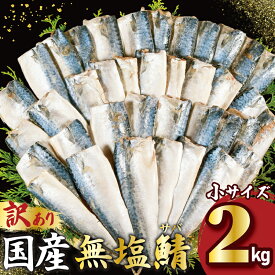 【ふるさと納税】 訳あり 国産 無塩さば 約 2kg 小サイズ 鯖 さば 無塩 無塩鯖 国産さば 国産鯖 小分け 大容量 たっぷり 人気 魚 魚介 魚貝 海鮮 水揚げ 惣菜 おかず つまみ お取り寄せ おすすめ フィーレ フィレ 切身 切り身 不揃い 規格外 送料無料 千葉県 銚子市 大國屋