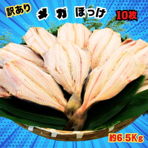 yӂ邳Ɣ[Łz yۈz 󂠂 K ق J  TCY 10 6.5kg ق zbP Ȃق ȃzbP ق zbP J KiO  KTCY e n90]N  