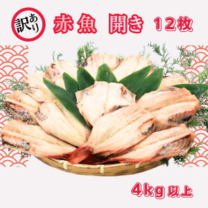 yӂ邳Ɣ[Łz 󂠂 ԋ J TCY 12 v 4kg ȏ ԋ ԋ  J n90]N X  󂠂 e Ⓚ aH Ђ ԋ  ܂ r[ 