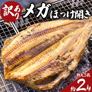 yӂ邳Ɣ[Łz 󂠂 K ق J  TCY 3 2.0kg ق zbP Ȃق ȃzbP ق zbP KiO  KTCY n90]N  X  a