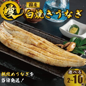 【ふるさと納税】 国産うなぎ 白焼き 1枚120g 選べる容量2〜10枚 定期便キモ タレ 山椒付き うなぎ 鰻 白焼き 蒲焼 うな重 鰻丼 うな丼 ひつまぶし 土用の丑の日 魚 海鮮 魚介類 魚貝 冷蔵 タレ 高級 ギフト プレゼント お中元 送料無料 千葉県 銚子市 有限会社石毛川魚店