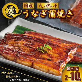 【ふるさと納税】 国産 うなぎ蒲焼 1枚約90~110g 選べる容量 2 〜 10枚 タレ 山椒 付き うなぎ 鰻 蒲焼 うな重 鰻丼 うな丼 ひつまぶし 土用の丑の日 魚 海鮮 肉 厚 冷凍 真空パック 秘伝 魚介類 魚貝 高級 個包装 ギフト 贈り物 お中元 お歳暮 千葉県 銚子市 石毛川魚店