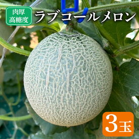 【ふるさと納税】 先行予約 ラブコールメロン 3玉 メロン 果物 フルーツ 糖度 甘い 贈答 プレゼント ギフト ゼリー ジュース ケーキ シャーベット アイス デザート スイーツ 送料無料 千葉県 銚子市 はぎわらファーム 発送時期 2026年7月〜(なくなり次第終了)