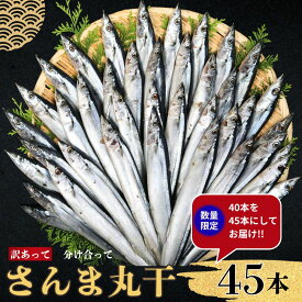 【ふるさと納税】 さんま サンマ 秋刀魚 訳あって さんま丸干し 40本 増量 中 分け合って 訳あり さんま 丸干し 無添加 国産 北海道 産 海鮮 干物 贈り物 人気 お取り寄せ ふるさと納税 ふるさと納税さんま 冷凍 送料無料 10000円 千葉県 銚子市 ヤマニンベン
