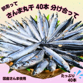 【ふるさと納税】 さんま サンマ 秋刀魚 40尾 訳あって さんま丸干し 40本 分け合って 訳あり さんま 丸干し 無添加 国産 北海道 産 海鮮 干物 贈り物 人気 お取り寄せ グルメ おつまみ ふるさと納税 ふるさと納税さんま 冷凍 送料無料 10000円 千葉県 銚子市 ヤマニンベン