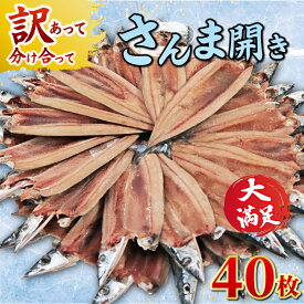 【ふるさと納税】 訳あり さんま 40枚 開き 秋刀魚 訳あって 分け合って さんま開き サンマ 国産 北海道 産 小分け 冷凍 干物 魚 海鮮 魚介 魚貝 大容量 保存食 人気 グルメ お取り寄せ 贈り物 ふるさと納税 ふるさと納税さんま 冷凍 送料無料 千葉県 銚子市 ヤマニンベン