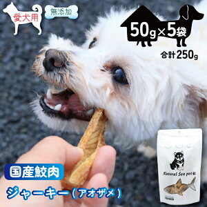 yӂ邳Ɣ[Łz TW[L[ L5pbNi50g×5j250g  ۑ EF sgp Y ybgt[h   L Y ybgpi ybgpi ybgpiL W[L[ hb