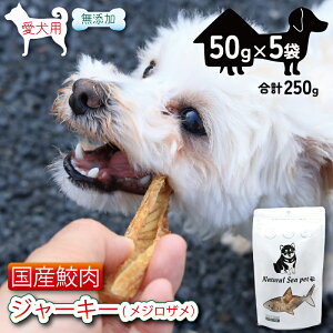 yӂ邳Ɣ[Łz TW[L[ ڔL5pbNi50g×5j250g  ۑ EF sgp Y ybgt[h   L Y ybgpi ybgpi ybgpiL W[L[ h