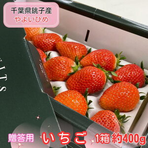 yӂ邳Ɣ[Łz s\ p  悢Ђ 1 400g ϔ  C`S  lC  Hׂ₷ ʕ t[c Xgx[ W E ̂ꂽ VN Y SS 