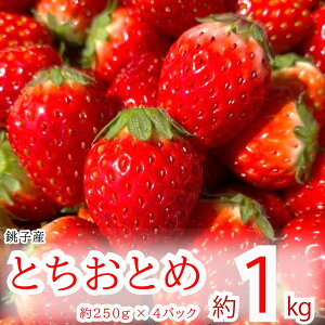 yӂ邳Ɣ[Łz s\ ƂƂ 1kg 250g×4pbN   Xgx[ ʕ t[c W P[L [[ W[X 啟 䕑啟 t[cTh V[gP[L E 
