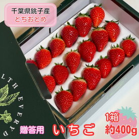 【ふるさと納税】 先行予約 贈答用 いちご とちおとめ 1箱 約400g イチゴ 苺 化粧箱 人気 定番 食べやすい 果物 フルーツ ストロベリー ジャム 朝摘み 採れたて 新鮮 産直 安心安全 期間限定 送料無料 千葉県銚子市