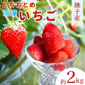 yӂ邳Ɣ[Łz is\jⓀC`S 2kg (1kg × 2j J| qY ƂƂ   C`S ^pbN Ⓚ Ⓚt[c Jbgt[c t[c W X[W[ [O