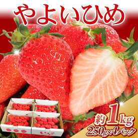 【ふるさと納税】 先行予約 いちご やよいひめ 約1kg （250g×4パック） 苺 ストロベリー 果物 フルーツ ジャム ゼリー ケーキ いちご大福 フルーツサンド ショートケーキ 期間限定 国産 ふるさと納税 ふるさと納税いちご 冷蔵 10000円 送料無料 千葉県 銚子市 神原いちご園