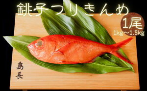 yӂ邳Ɣ[Łz q肫 1 ߂ L_C ڑ   L   CN  Vst Vs  ϕt Ă j {ނ a a