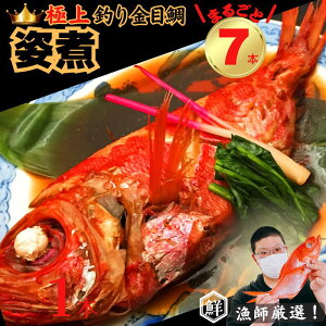 yӂ邳Ɣ[Łz ytIIzɏނڑ p 7{Zbg 肫 ɏ  肫 L_C ߑ lC p 1܂邲7lO  jV i Mtg  
