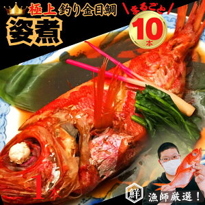 yӂ邳Ɣ[Łz ytIIzɏނڑ p 10{Zbg 肫 ɏ  肫 L_C ߑ lC p 1܂邲10lO  jV i Mtg  