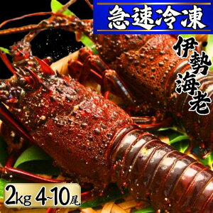 yӂ邳Ɣ[Łz yt^YⓀz Ⓚ ɐCV i2kg^4`10j q` g }Ⓚ ⓀɐCV ɐGr  CV Gr n[tJbg j  lC VN  