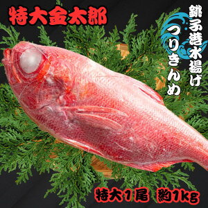 yӂ邳Ɣ[Łz qނ Y 1kg ڑ q VN q`g uԗⓀ 肫 L ނ  L_C ߂  hg ς CN t 