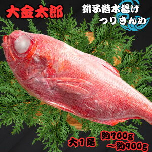 yӂ邳Ɣ[Łz qނ Y 700g~900g ڑ q VN q`g uԗⓀ 肫 L ނ  L_C ߂  hg ς CN t