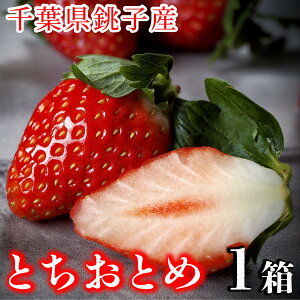 yӂ邳Ɣ[Łz s\  ƂƂ߁i 500g j J| qY   C`S r^~C t_ H@ fU[g ~tB[ t[c [Og X[W[ t qs