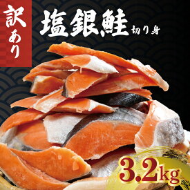 【ふるさと納税】 訳あり 銀鮭 切り身 約3.2kg 冷凍 人気 さけ サケ 魚 海鮮 おかず シャケ おつまみ 弁当 塩 鮭 塩銀鮭 ギフト 贈り物 贈物 贈答 冷凍食品 保存 切身 惣菜 焼魚 焼き魚 弁当 ホイル焼き 規格外 規格外品 食品 大容量 たっぷり 朝食 塩鮭 千葉 銚子 辻野