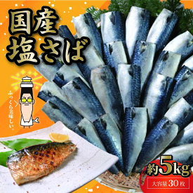 【ふるさと納税】 国産 塩サバフィレ 30枚 約5kg 国産 塩さば フィーレ 塩サバフィレ 鯖 さば 塩鯖 おかず 食品 グルメ 海鮮 大容量 無添加 おつまみ お取り寄せ 贈答 ギフト プレゼント 長期保存 ふるさと納税 ふるさと納税サバ 冷凍 16000円 送料無料 千葉県 銚子市 大成