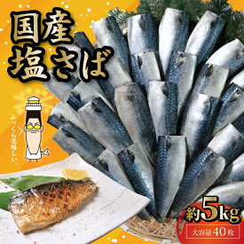 【ふるさと納税】 国産塩サバフィレ 40枚 約5kg 国産 塩さば フィーレ 塩サバフィレ 鯖 さば 塩鯖 おかず 食品 グルメ 海鮮 大容量 無添加 おつまみ お取り寄せ 贈答 ギフト プレゼント 長期保存 ふるさと納税 ふるさと納税サバ 冷凍 16000円 送料無料 千葉県 銚子市 大成