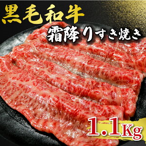 yӂ邳Ɣ[Łz јa Ă 1.1kg a   r[t Y   ^ ^pbN  Ⓚ  O  j uh Ă Xe[L Ԃ r[t