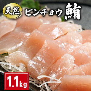 yӂ邳Ɣ[Łz VR r`E܂ؐg 1.1kg 160g×7pbN ܂  hg Ԑg  r`E}O r`E lMg }OЂ CN  i SΘ 芪i  CN  
