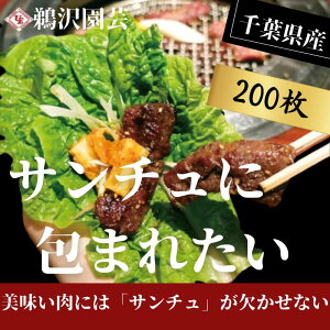 yӂ邳Ɣ[Łz u tbVT` v v200i10×20pbNj ӂ邳Ɣ[ VN tbV T` Ă^X `V `V ē Ă BBQ o[xL[ ċx q