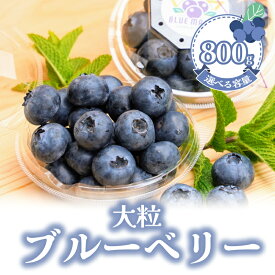 【ふるさと納税】 （先行予約） フレッシュ 大粒ブルーベリー 800 g（100g×8パック） ふるさと納税 ブルーベリー 大粒 特大 フルーツ 果物 くだもの ジャム ヨーグルト チーズケーキ 銚子産 千葉県 銚子 AGRIMOVADO アグリモバード 4月下旬から5月末頃まで発送