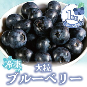 �y�ӂ邳�Ɣ[�Łz �Ⓚ�u���[�x���[ �y�I�ׂ�e�ʁz ��500g�`1kg�i1��500g�j�u���[�x���[ �Ⓚ �t���[�c ���e ���N �f�U�[�g �ʕ� �������� ���َq ���Y ������ �O���� ���� �v���[���g �M