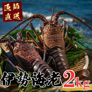 yӂ邳Ɣ[Łz ys\z2025N8` Y Ⓚ ɐCV 2kg VR Y ɐGr CV Gr hg ɐ X`  {C GrtC AW Yn VN CN   BBQ