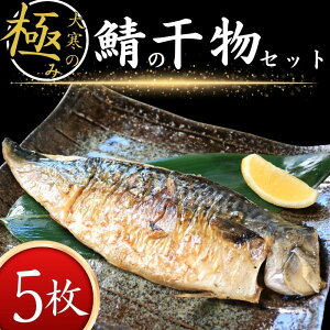 yӂ邳Ɣ[Łz 劦̋ɂ To 5 1200g TCY I  To mEF[Y pE` Ⓚ ^pbN   CN  V[t[h  Ђ    