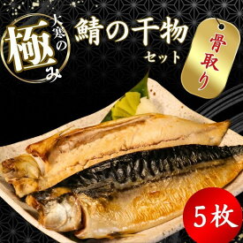 【ふるさと納税】 【骨取り】 大寒の極み サバ干物 5枚 1枚約200g 特大サイズ 鯖 さば 塩サバ ノルウェー産 骨抜き 骨なし 真空パック 個包装 海鮮 魚介類 干物 高級 お取り寄せ 贈答 ギフト ふるさと納税 ふるさと納税サバ 冷凍 10000円 送料無料 千葉県 銚子市 武内商店