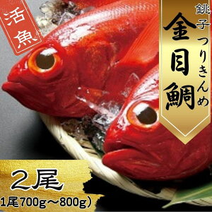 yӂ邳Ɣ[Łz  L_C 2 i1700g`800gj ڑ VN q`g 肫 L ނ  L_C ς  ^C hg   CN  ① ^pbN Mtg v