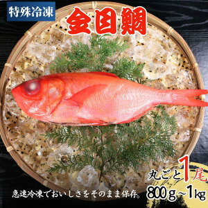yӂ邳Ɣ[Łz Ⓚ L_C Z~hX 1 800g~1L ڑ L   ^C }Ⓚ ϕt ϕt  CN  ̂ ܂ ٓ   y KiO Hi ⓀHi 