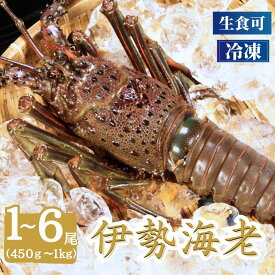 【ふるさと納税】 冷凍 伊勢海老 特大 1〜3尾 （800〜1000g） ・ 2、4尾（600〜800g）・2、4、6尾（450〜600g） イセエビ エビ 海老 急速冷凍 刺し身 刺身 魚 海鮮 おかず 酒 塩 魚介 惣菜 グルメ 贈り物 プレゼント ギフト ふるさと納税 送料無料 千葉県 銚子市 飯田水産