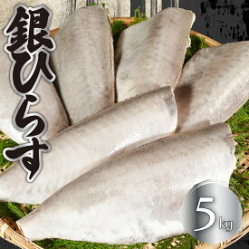 【ふるさと納税】 銀ひらす 5kg 銀ひらす ヒラス シルバー 人気 お弁当 おかず 焼魚 サーモン 新鮮 魚介 魚貝 魚 海鮮 大容量 小分け ギフト お取り寄せ グルメ プレゼント 贈答 贈り物 冷凍食品 冷凍品 ふるさと納税 ふるさと納税魚 送料無料 千葉県 銚子市 エドノフーズ